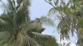 Frank Cuesta, un popular presentador español, mandó un mensaje a los que se burlaron por la muerte del matador.