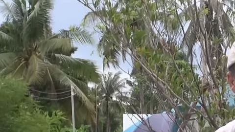 Frank Cuesta, un popular presentador español, mandó un mensaje a los que se burlaron por la muerte del matador.