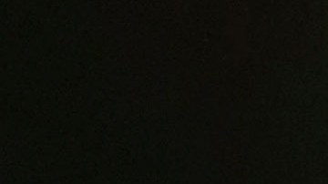 Axl Rose bromeó en el escenario sobre la posesión de la pistola, asegurando que no era suya.