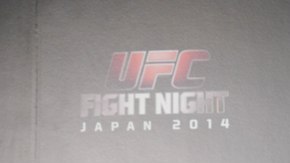 Miesha Tate, una de las peleadoras más bellas de las MMA.