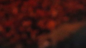 Brock Lesnar regresa por sus fueros al octágono de la UFC.