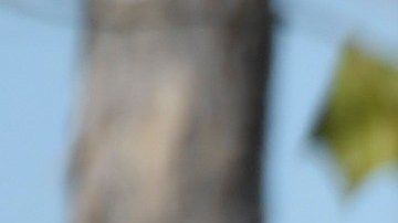 Se han registrado numerosos accidentes con los patinetes 'hoverboards' al explotar las baterías por recalentamiento.