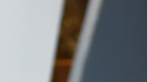 Sofía Vergara celebró su 44 cumpleaños rodeada de su familia.