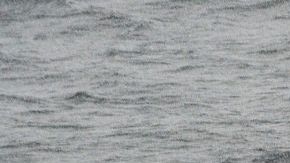 Una ballena jorobada salta fuera del agua en la Antártica.