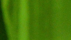 Rihanna advirtió durante su pasado concierto en Lille, Francia, que "no quería ver a nadie cazando Pokémon".