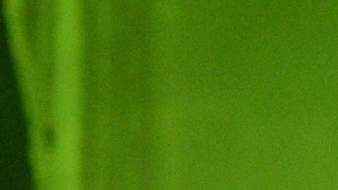 Rihanna advirtió durante su pasado concierto en Lille, Francia, que "no quería ver a nadie cazando Pokémon".