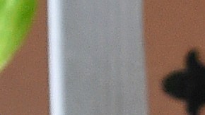 Un trabajador fumiga para erradicar las larvas de mosquitos en Miami-Dade.