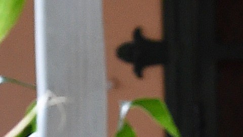 Un trabajador fumiga para erradicar las larvas de mosquitos en Miami-Dade.