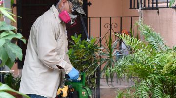 Un trabajador fumiga para erradicar las larvas de mosquitos en Miami-Dade.