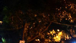 Personal de seguridad de Bangladesh de guardia después del ataque en un restaurante en el distrito diplomático de alta seguridad de Dacca, el 2 de julio de 2016.