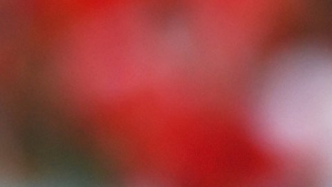 Bale y Ronaldo pondrán el ingrediente extra en el choque en semifinales.