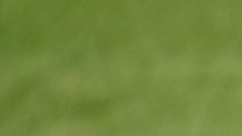 Antoine Griezmann y Paul Pogba en el entrenamiento previo a la Final.