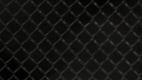 Brock Lesnar sigue siendo un imán para el público de las MMA.