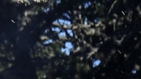 Christopher Froome, líder del Tour de Francia corre hacia la meta.