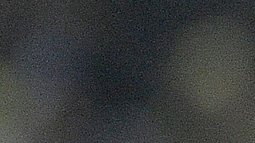 Luis Caicedo celebra tras anotarle al Boca Juniors.