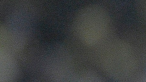 Luis Caicedo celebra tras anotarle al Boca Juniors.