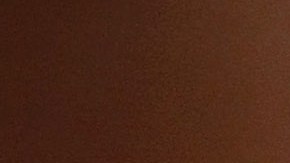 Poderosa mandíbula del extinto monstruo prehistórico marino, Charcharodon Megalodon, subastada en Las Vegas.