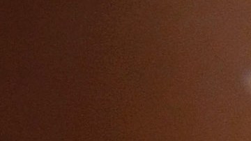 Poderosa mandíbula del extinto monstruo prehistórico marino, Charcharodon Megalodon, subastada en Las Vegas.