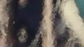 La pareja fue pillada por los fotógrados en las playas de Malibú.