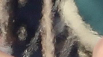 La pareja fue pillada por los fotógrados en las playas de Malibú.