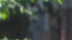 Ola de Calor en Nueva York. Julio 2016 - Washington Park y El Bronx.