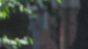 Ola de Calor en Nueva York. Julio 2016 - Washington Park y El Bronx.