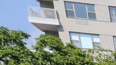 Ola de Calor en Nueva York. Julio 2016 - Washington Park y El Bronx.