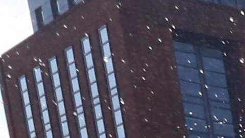 Ola de Calor en Nueva York. Julio 2016 - Washington Park y El Bronx.