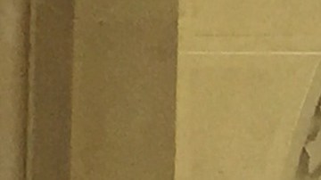 La canciller de educación Carmen Fariña anunció que 16 nuevas escuelas se sumarán el próximo año al programa PROSE.