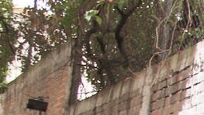 Una vecina de la colonia El Recreo, en la Ciudad de México, pasa por el albergue para Adolescentes Migrantes .