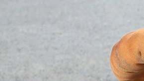 Angélica Vale junto a su nuevo galán.