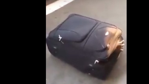 El hombre intentaba llegar a Suiza.