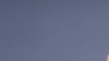 La ex vocalista de Blackeyed Peas vuelve con un ejército de mamás famosas.