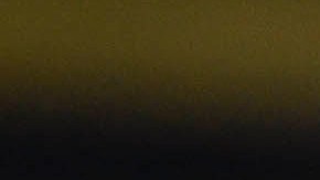 Independiente del Valle festejan su victoria sobre Pumas de la UNAM.