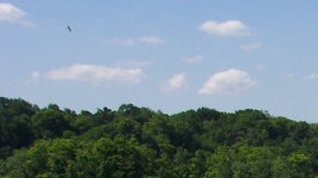 El 24 de julio, el programa 'Latino Conservation Week' te lleva de excursión a las Cataratas de Niagara.