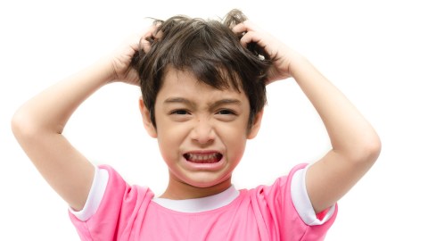 Los Centros del Control de Enfermedades (CDC) estiman que cada año se producen entre 6 y 12 millones de infestaciones de piojos en Estados Unidos entre los niños de 3 a 11 años de edad.