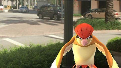 pokemon go