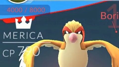 pokemon casa blanca