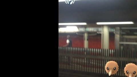 Autoridades del subway alertaron a los jugadores de Pokémon Go a no cruzar la línea amarilla mientras juegan