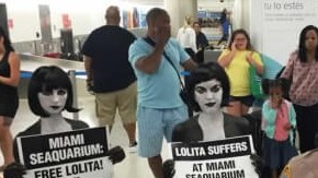 Las activistas de PETA fueron arrestadas en el Aeropuerto Internacioal de Miami.