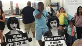 Las activistas de PETA fueron arrestadas en el Aeropuerto Internacioal de Miami.