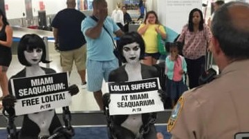 Las activistas de PETA fueron arrestadas en el Aeropuerto Internacioal de Miami.