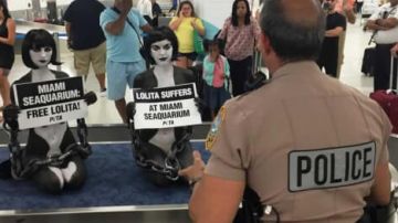 Las activistas de PETA fueron arrestadas en el Aeropuerto Internacioal de Miami.