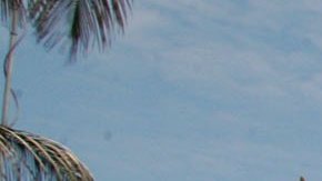 Los trabajadores de Puerto Rico llevan ya tiempo sufriendo los efectos de la crisis.