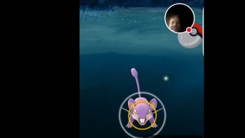 El accidente -cortesía de un pokémon- ocurrió en Brooklyn, Nueva York.