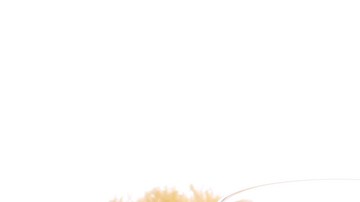 avena miel