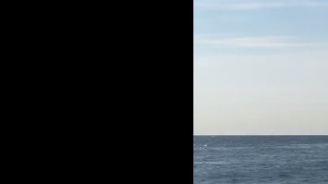 Seis tiburones fueron localizados cerca de la costa de la playa Monmouth, en Jersey Shore.