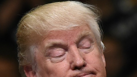 Finalmente, Donald Trump y Salma Hayek no compartieron la mesa que el magnate había pagado a través de una generosa donación.