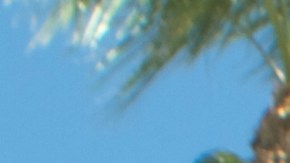 "Tropezarse y caer es mejor que cualquier consejo para crecer", dice.