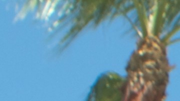 "Tropezarse y caer es mejor que cualquier consejo para crecer", dice.